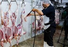 ثبت سفارش واردات گوشت گرم و منجمد از فردا آغاز می‌شود