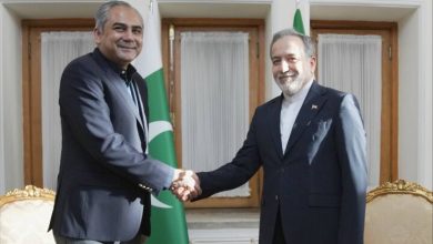 دیدار وزیر کشور پاکستان با عراقچی