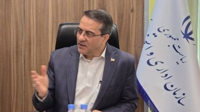 رفیع‌زاده: اجرای مصوبه ساماندهی نیروهای شرکتی از همین ماه آغاز می‌شود