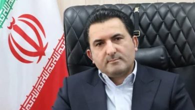 زنجیره مرغ و تخم‌مرغ از شوک آزادسازی ارز عبور کرد