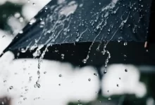سازمان هواشناسی