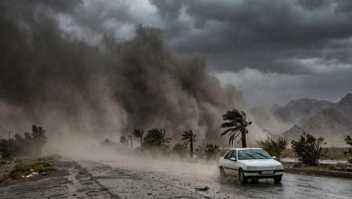 سازمان هواشناسی