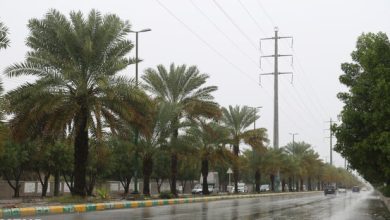 صدور ۲ هشدار جدید هواشناسی؛ تشدید سامانه‌های بارشی در ۳ استان تا فردا