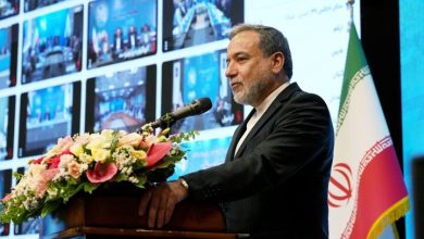 عراقچی: حامی اصلی ما در مذاکرات آقای پزشکیان بود