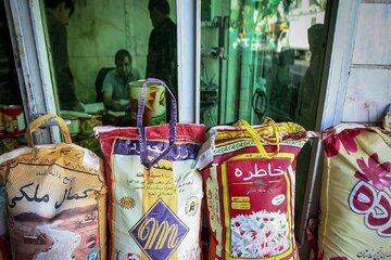 قیمت برنج ارزان شد