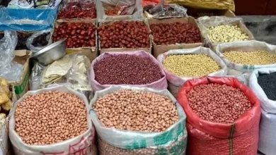قیمت حبوبات