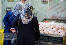 قیمت مرغ