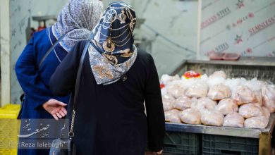قیمت مرغ