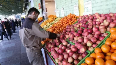 قیمت میوه