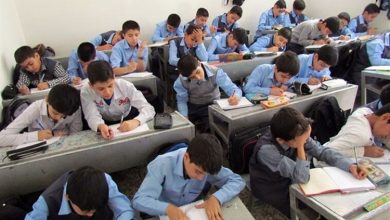 مدارس شاهد