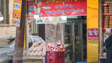 مرغ کامل کیلویی چند؟