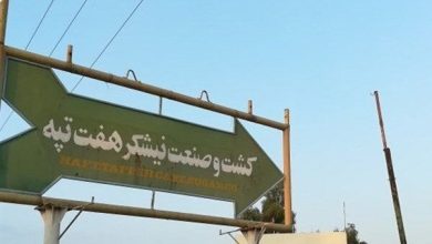 نیشکر هفت‌تپه