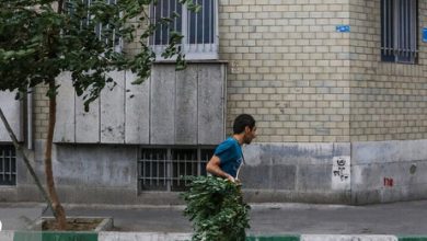 هشدار نسبت به وزش تندباد در تهران/ بارش باران در دامنه‌ها و ارتفاعات