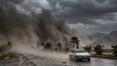 هواشناسی