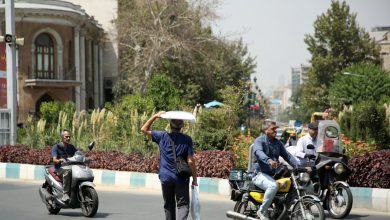 ۴۰ تا ۵۰ روز گرمای نسبی در پیش داریم/ دمای تهران به ۳۸ درجه می‌رسد
