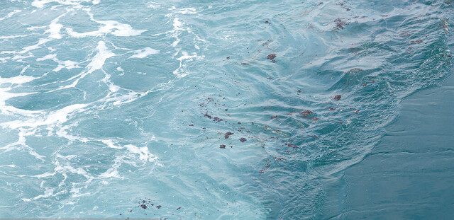 پاکسازی آلودگی نفتی سواحل جنوب قشم؛ عملیات ادامه دارد
