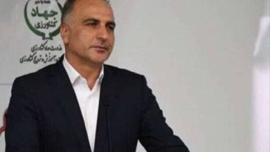 گزارش کیفیت گندم ایران منتشر شد