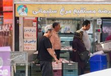 گوشت مرغ