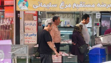 گوشت مرغ