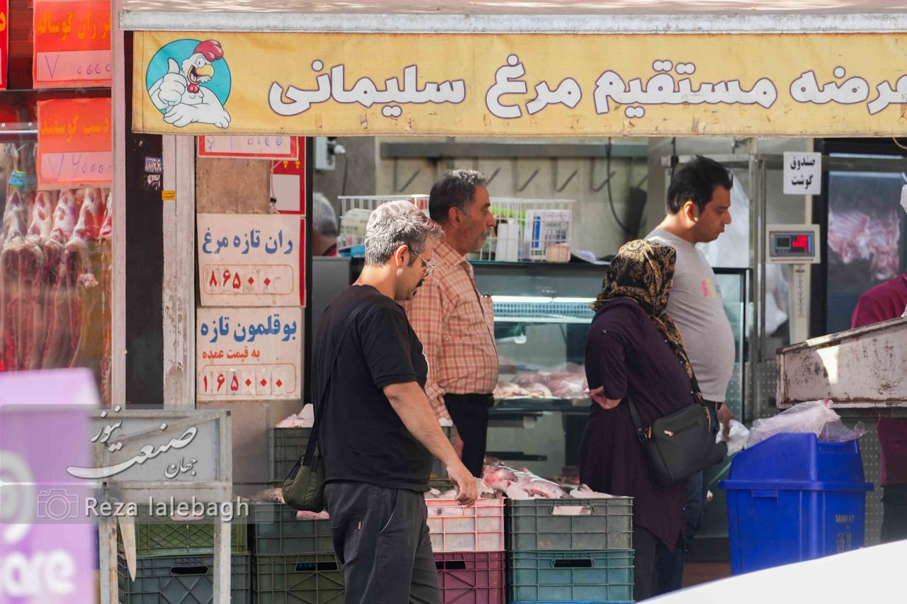 گوشت مرغ