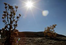 افزایش نسبی دما