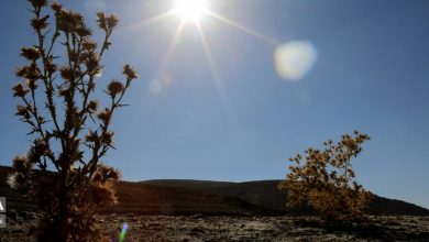 افزایش نسبی دما