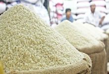تداوم واردات برنج به کشور
