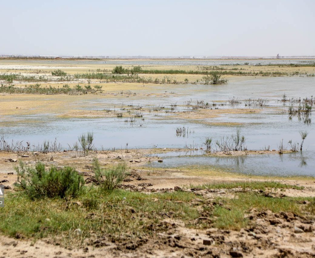 تالاب صالحیه