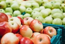 سردخانه برای اقتصاد تولید و عرضه سیب