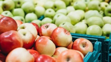 سردخانه برای اقتصاد تولید و عرضه سیب