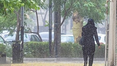 رگبار در شمال و وزش باد شدید در غرب و جنوب تهران