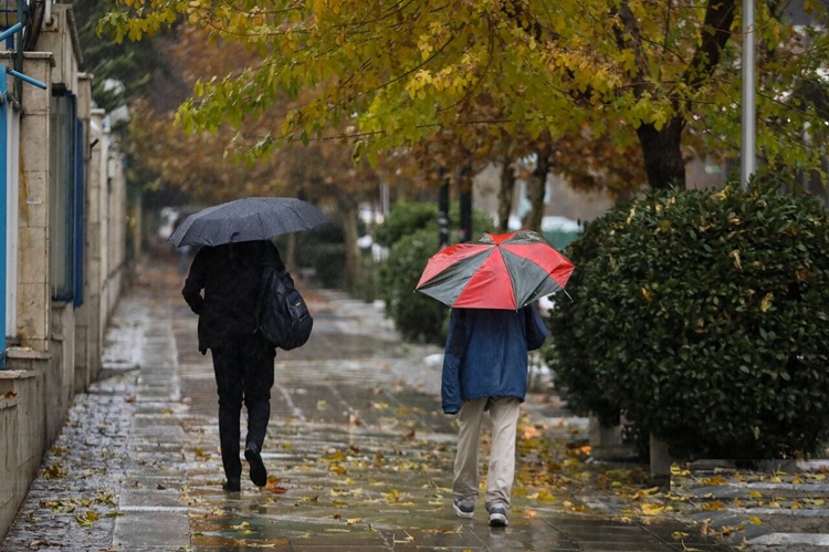 سازمان هواشناسی