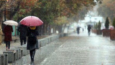 سازمان هواشناسی