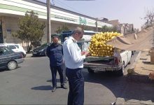 ساماندهی و جمع‌آوری خودروهای اسقاطی و وانت‌بارهای فروشنده آغاز شد