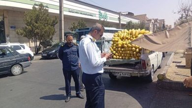 ساماندهی و جمع‌آوری خودروهای اسقاطی و وانت‌بارهای فروشنده آغاز شد
