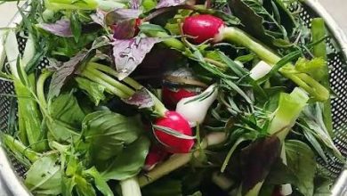 سبزی خوردن بسته‌بندی باید مطابق ضوابط سازمان غذا و دارو تولید شود