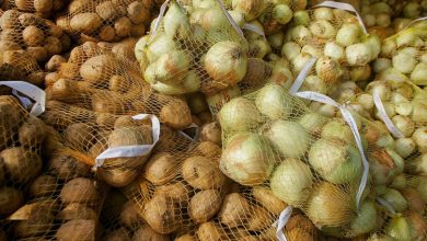 سیب‌زمینی و پیاز