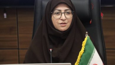شینا انصاری