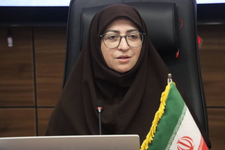 شینا انصاری