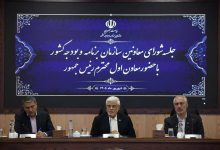 عارف: باید مطالبه رئیس‌جمهوری برای افزایش مبلغ کالابرگ را محقق کنیم