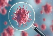 عبور کرونا از آستانه هشدار بالا / آنفلوآنزا نوع B در گردش