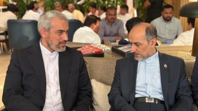 علی مدنی زاده