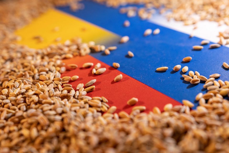 غلات روسیه