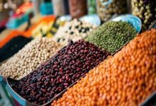 قیمت حبوبات
