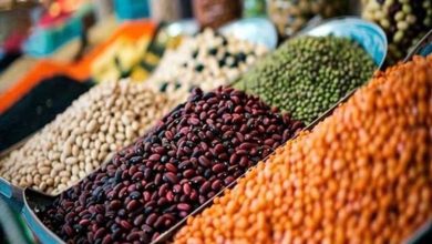 قیمت حبوبات