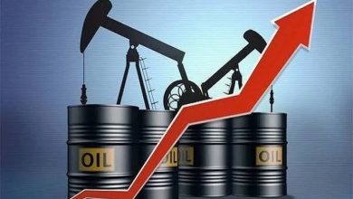 قیمت نفت