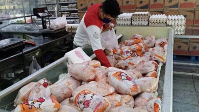 قیمت گوشت مرغ