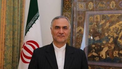 محمد علی بک