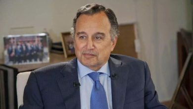 نبیل فهمی