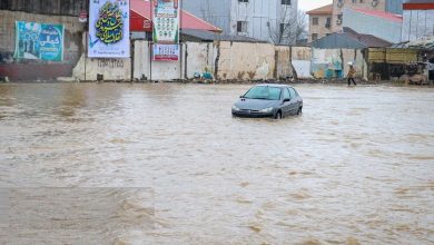 احتمال افزایش ۳۸ درصدی بارش در برخی مناطق ایران در پی وقوع ال‌نینو